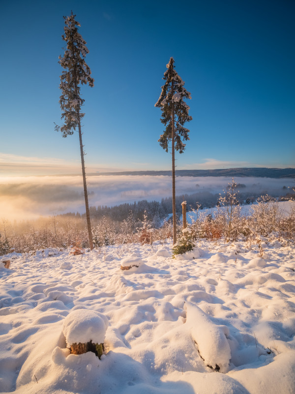 Winterlandschaft bei Kappel