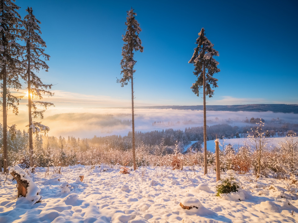 Winterlandschaft bei Kappel