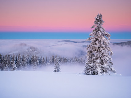 Morgendämmerung über Schnee und Nebel