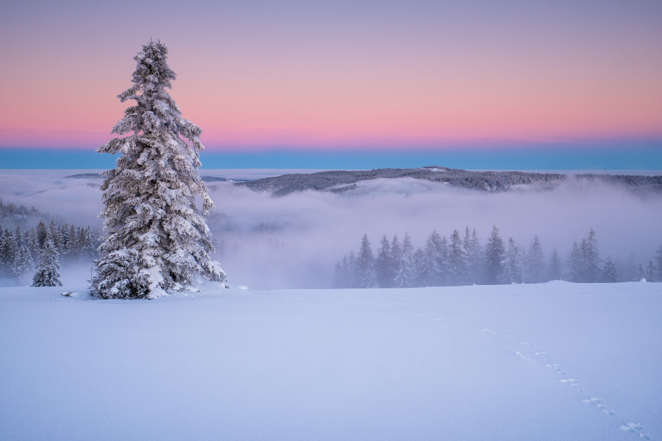 Morgendämmerung über Schnee und Nebel