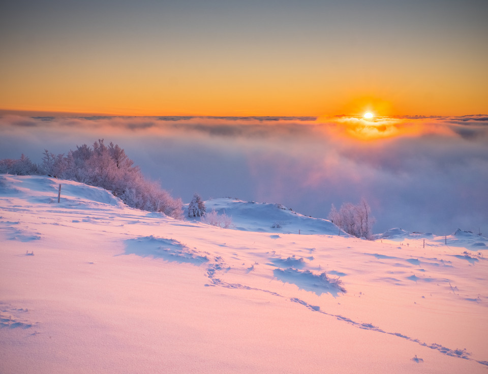 Winterlicher Sonnenaufgang auf dem Herzogenhorn