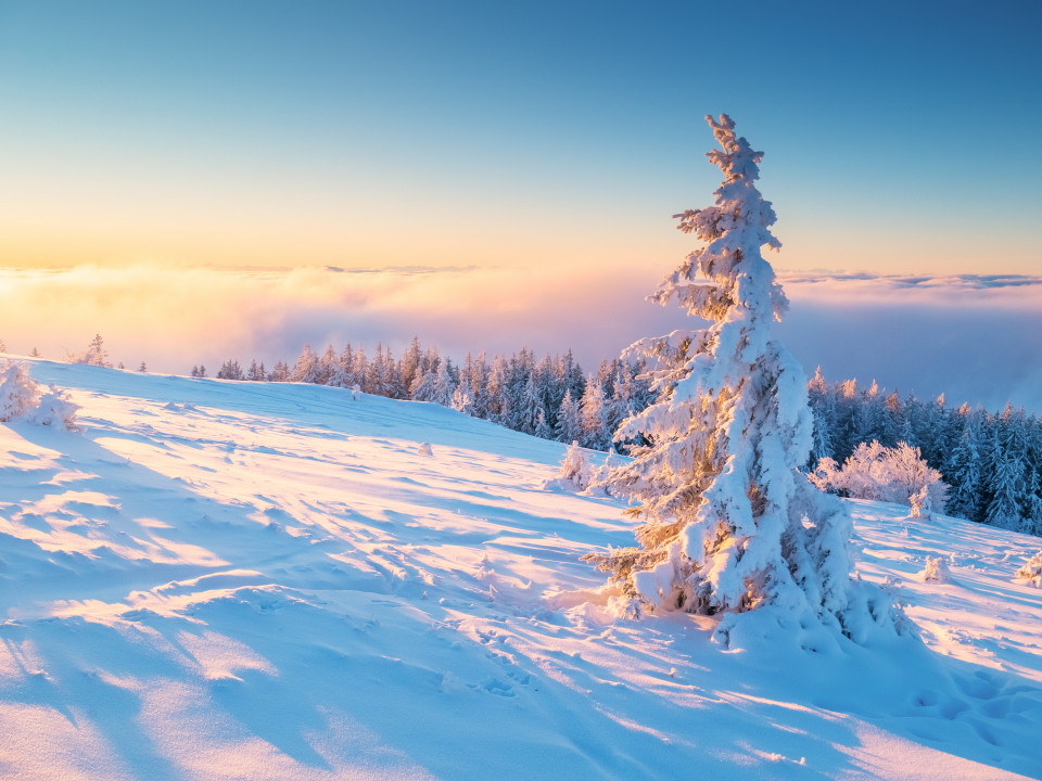 Wintermorgen auf dem Herzogenhorn