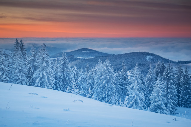 Winterlandschaft, Baldenweger Buck