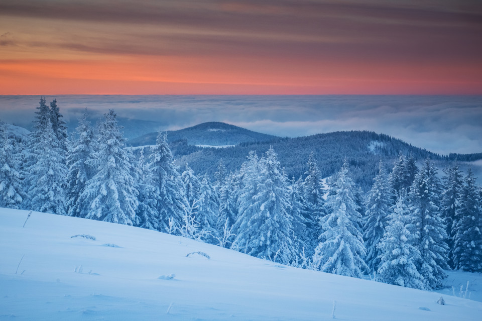 Winterlandschaft, Baldenweger Buck