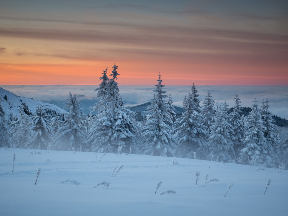 Winterlandschaft, Baldenweger Buck