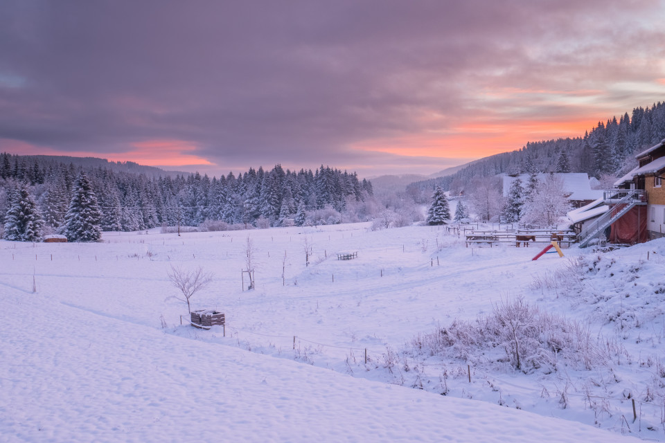 Winterlandschaft, Hinterzarten-Winterhalde