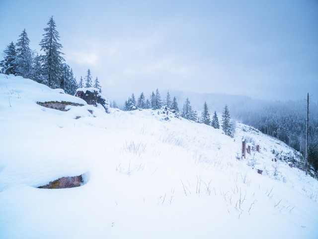 Am Hochkopf (Feldberggebiet)