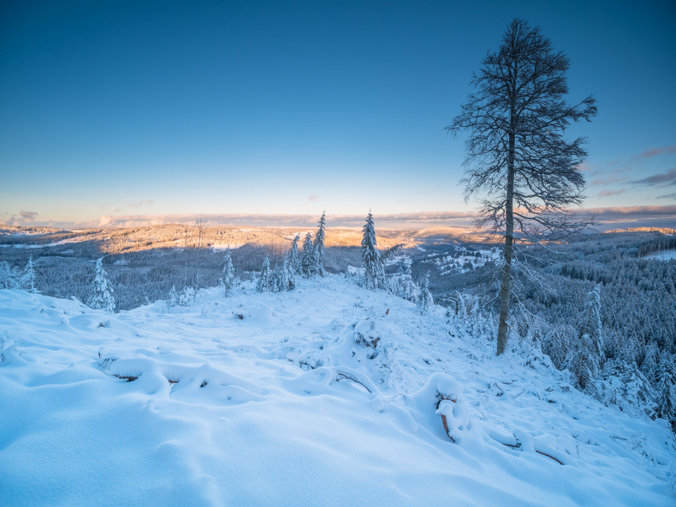 Hochkopf-Aussicht beim Feldberg