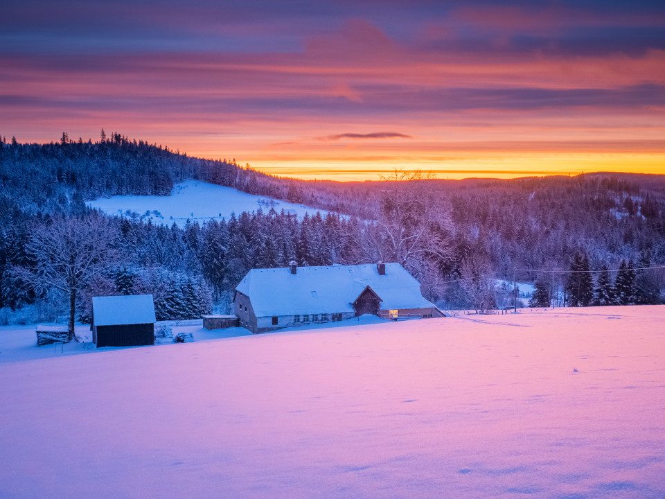 Waldhäusle (Hof bei Hinterzarten)