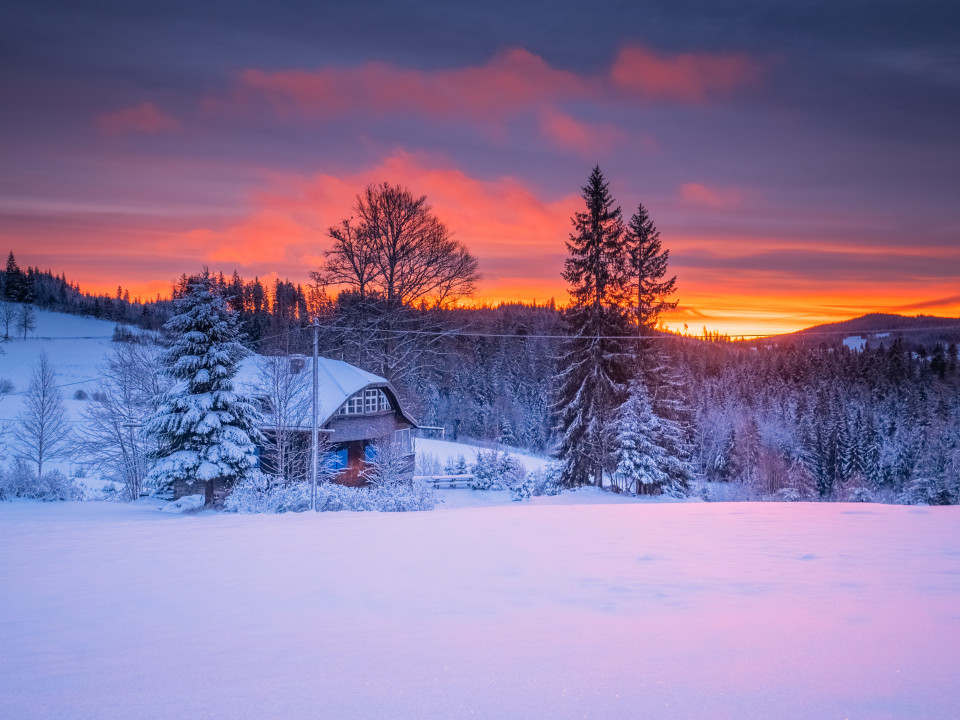 Morgenstimmung, Landratshütte bei Hinterzarten