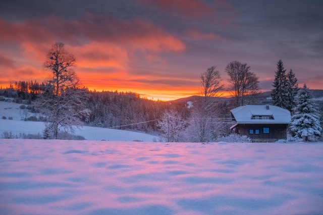 Morgenstimmung, Landratshütte bei Hinterzarten