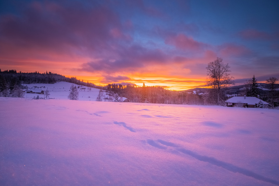 Morgenstimmung, Landratshütte bei Hinterzarten