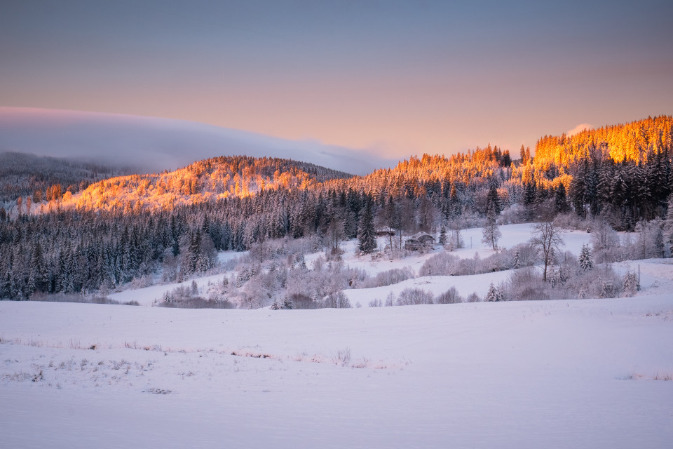 Winterlandschaft im Morgenlicht