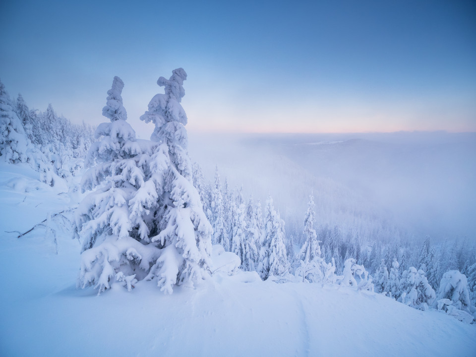 Winterlandschaft auf dem Stübenwasen