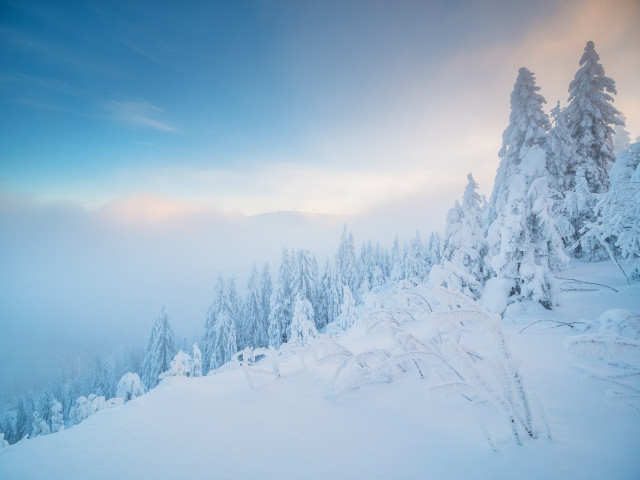 Winterlandschaft auf dem Stübenwasen