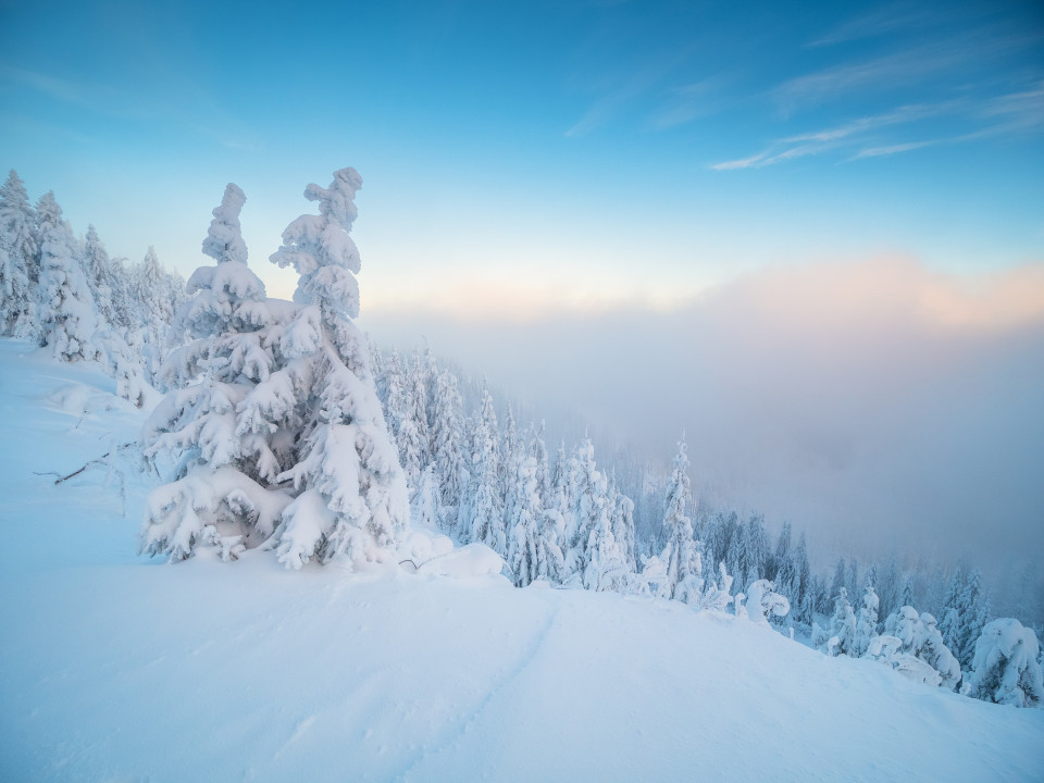 Winterlandschaft auf dem Stübenwasen