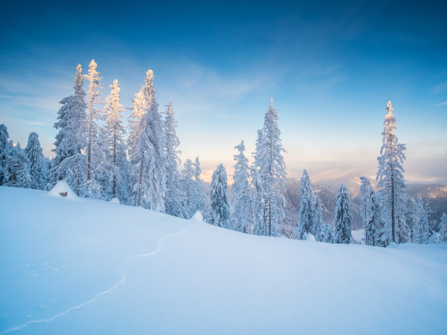 Winterlandschaft auf dem Stübenwasen