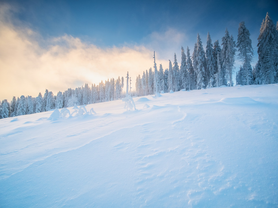 Winterlandschaft auf dem Stübenwasen