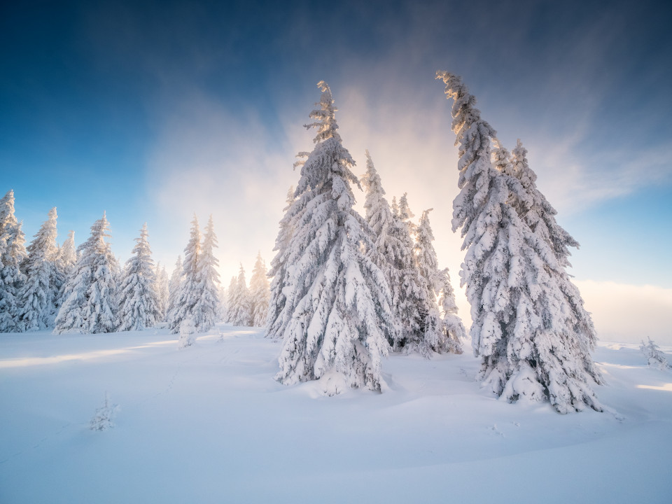 Winterlandschaft auf dem Stübenwasen