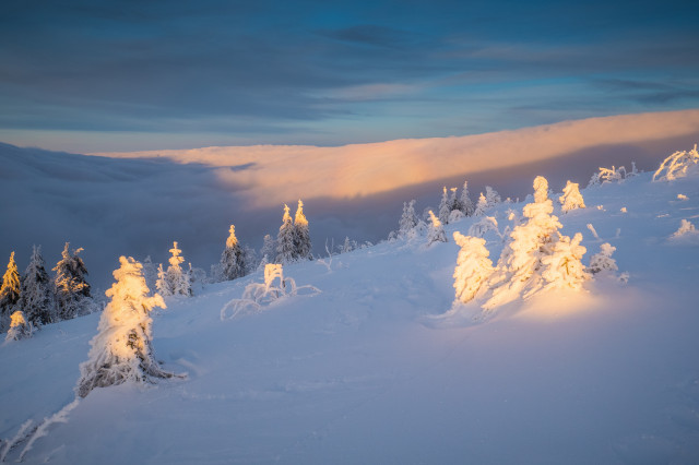 Winterlandschaft auf dem Feldberg und Glorie im Hochnebel