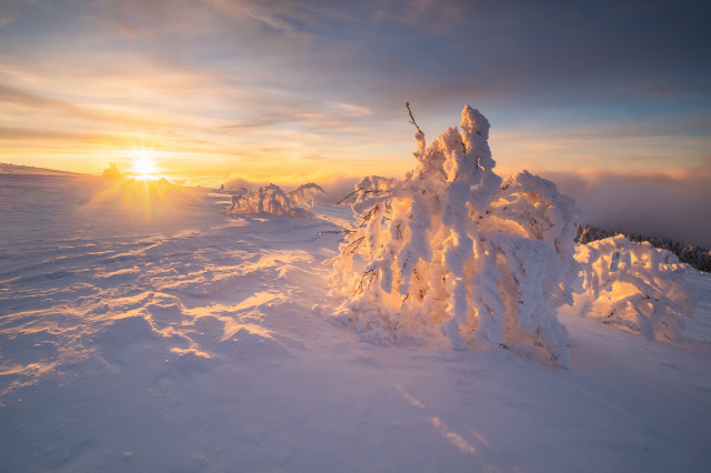 Sonnenuntergang auf dem Feldberg