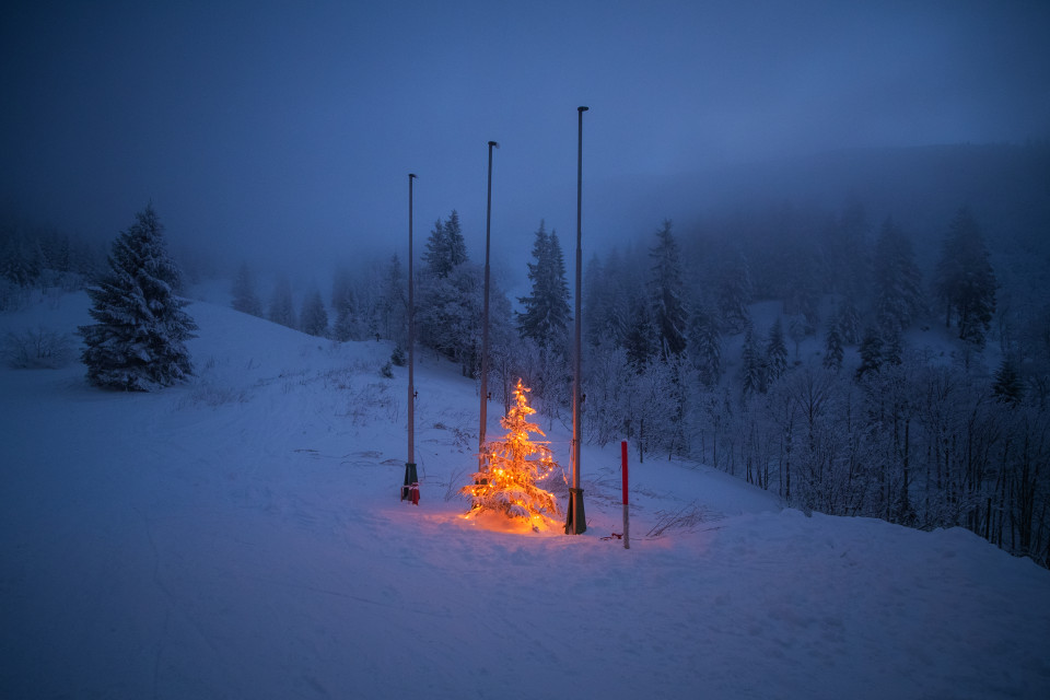 Weihnachtsbaum bei der Zastler Hütte
