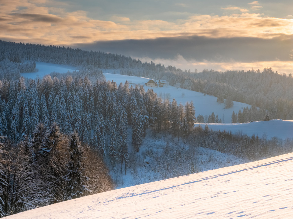 Winterlandschaft bei Neukirch