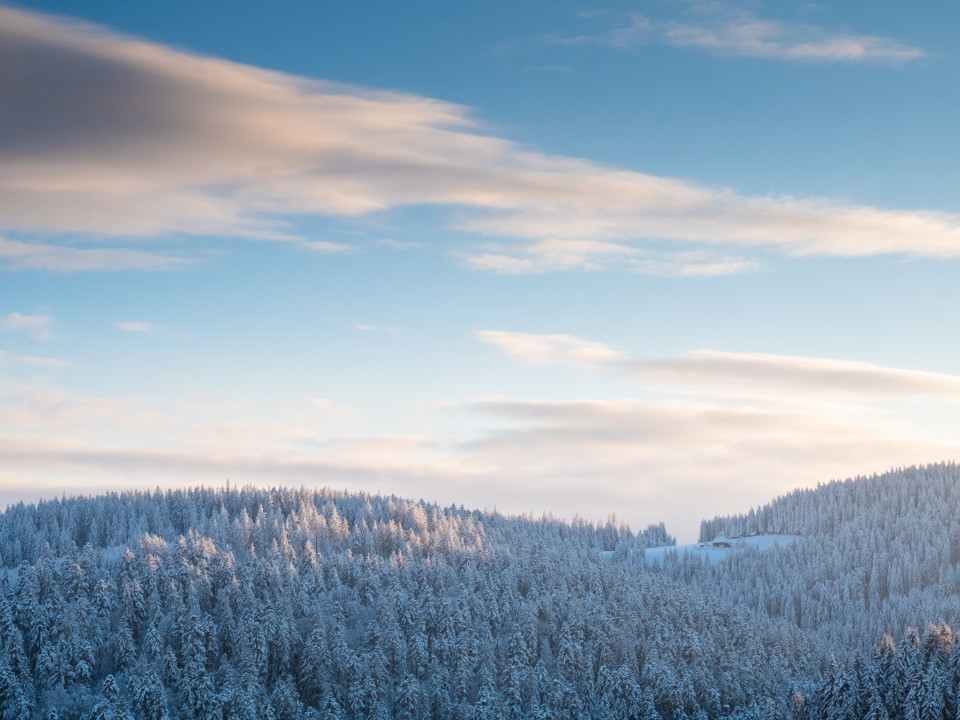 Winterlandschaft bei Neukirch