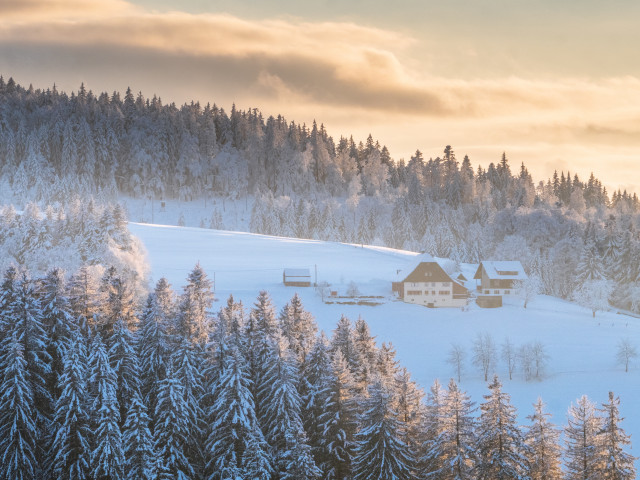 Winterlandschaft bei Neukirch