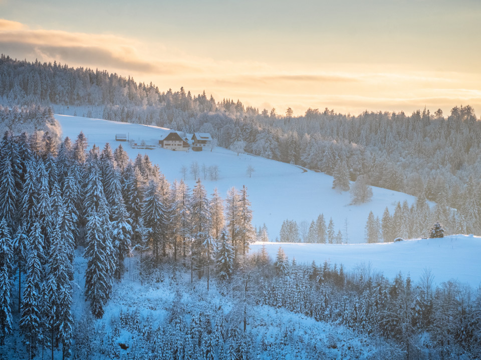 Winterlandschaft bei Neukirch