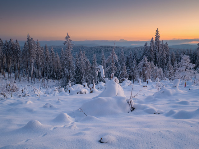 Winterwald Schwabenstutz