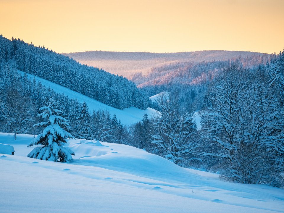 Furtwänglebach-Tal