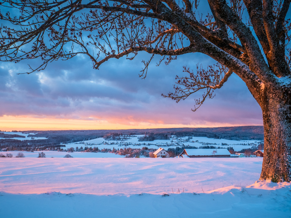 Wintermorgen bei Göschweiler