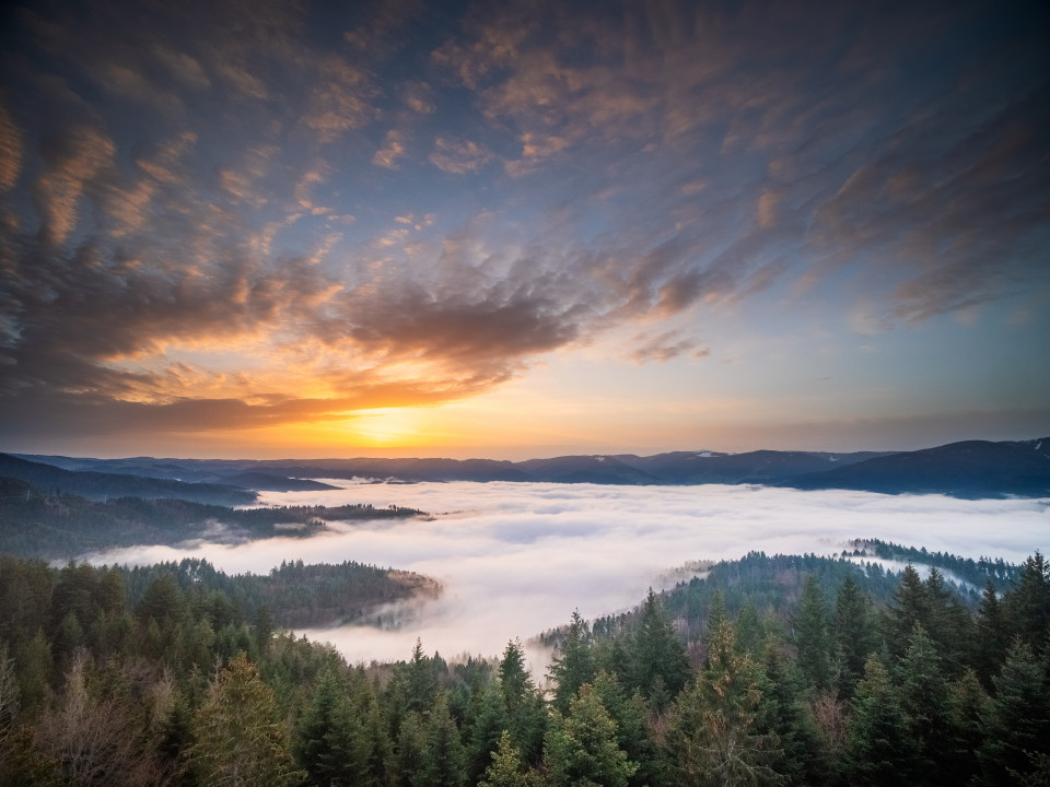 Blick vom Rosskopf über das Dreisamtal