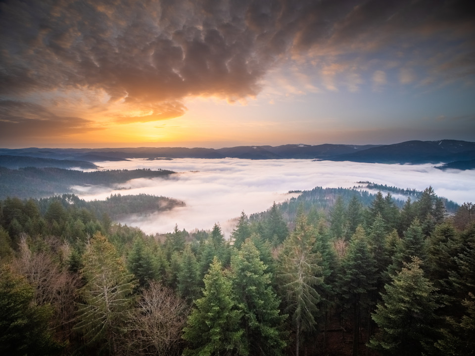 Blick vom Rosskopf über das Dreisamtal