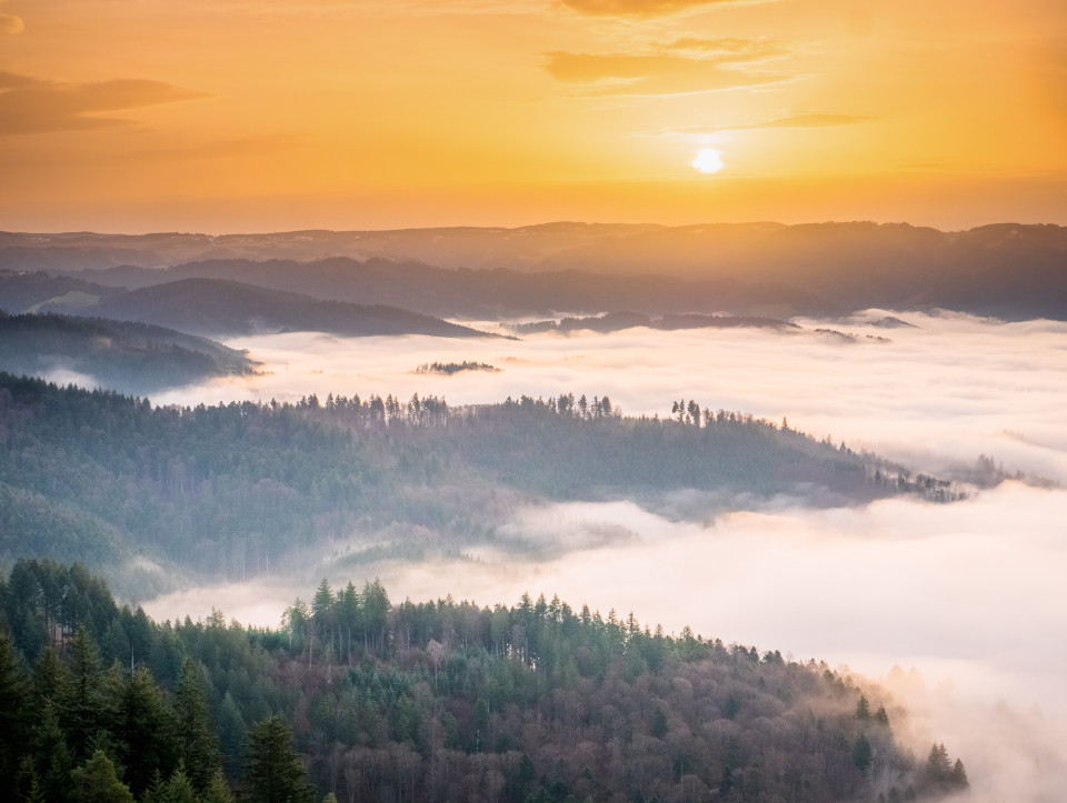 Blick vom Rosskopf über das Dreisamtal