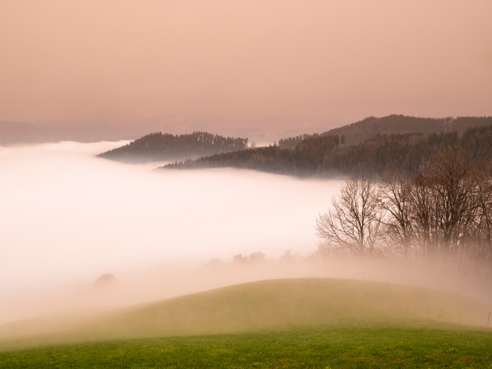 Inversion und Saharastaub über dem Dreisamtal