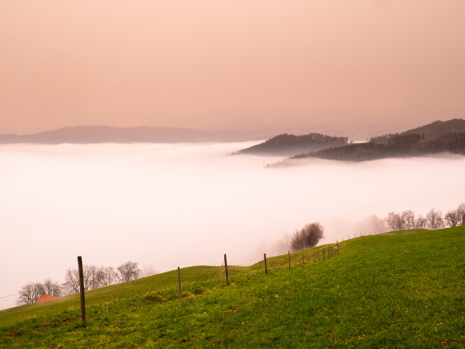 Inversion und Saharastaub über dem Dreisamtal