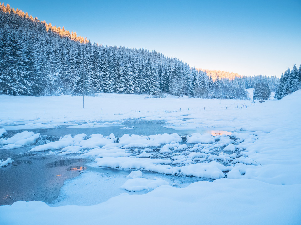 Winter am Furtwänglebach