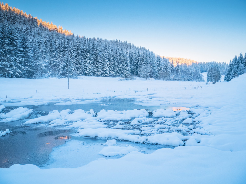 Winter am Furtwänglebach