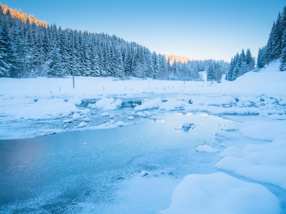 Winter am Furtwänglebach