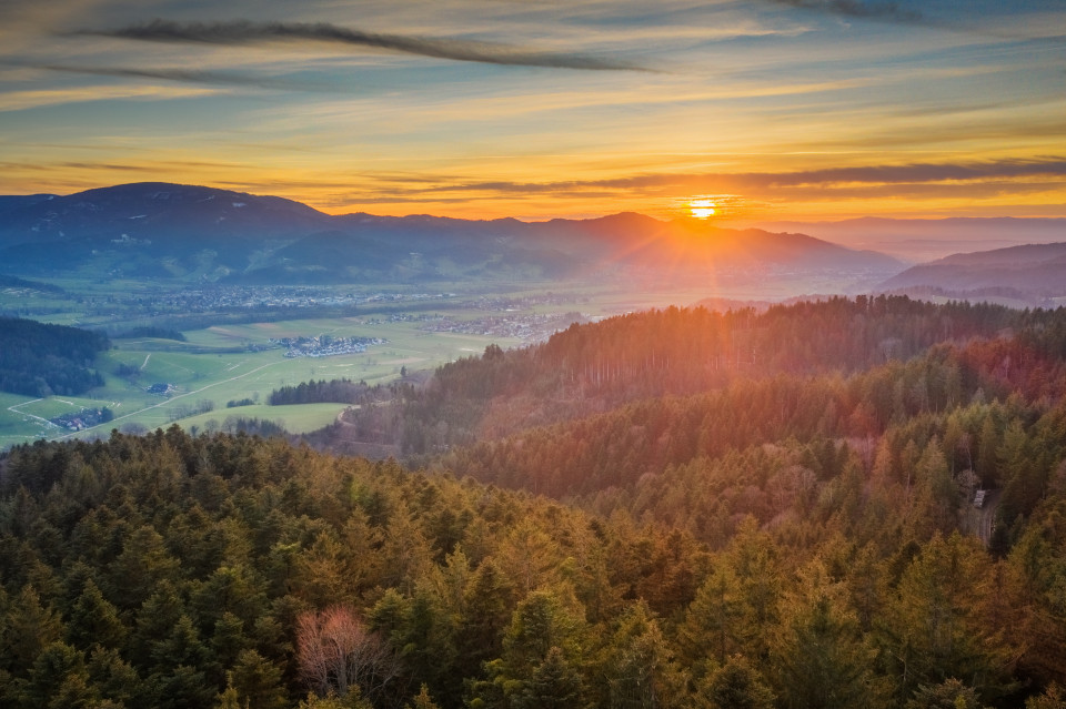 Blick über das Dreisamtal