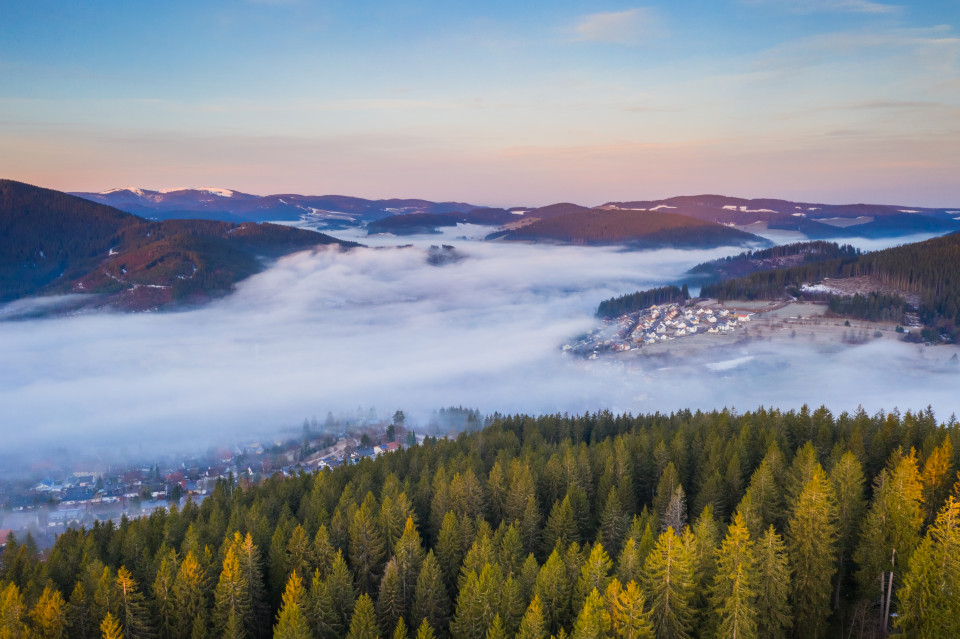 Frühnebel über Neustadt