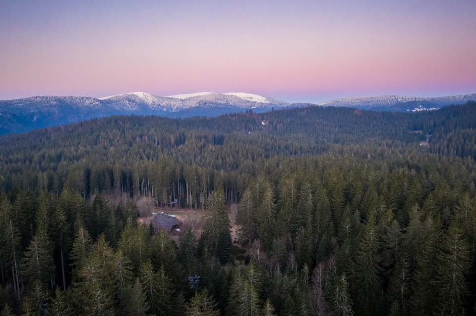 Feldbergblick am Eckle