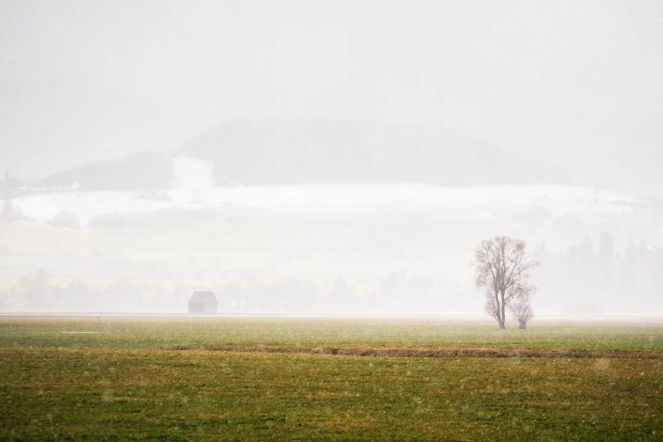 Schneefall vor dem Fürstenberg