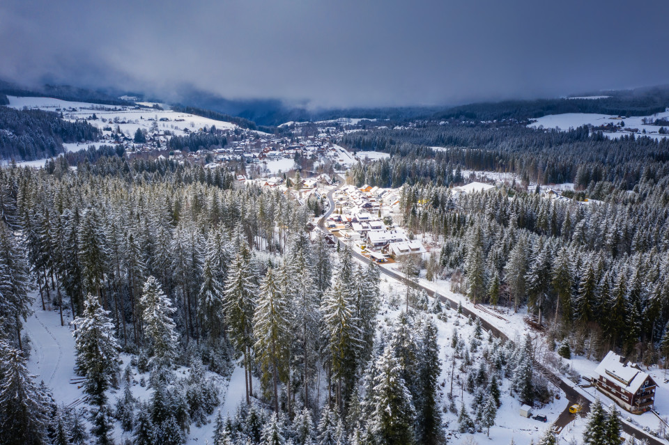 Blick über Hinterzarten