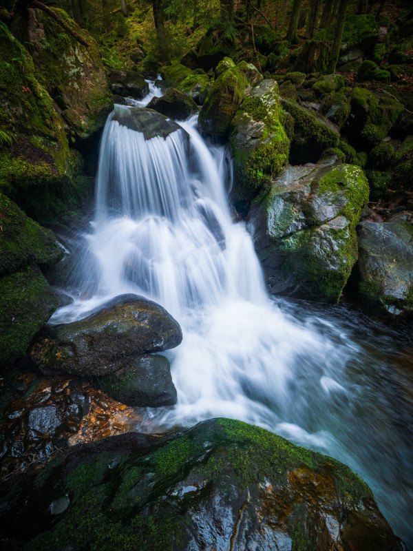 Teichschlucht