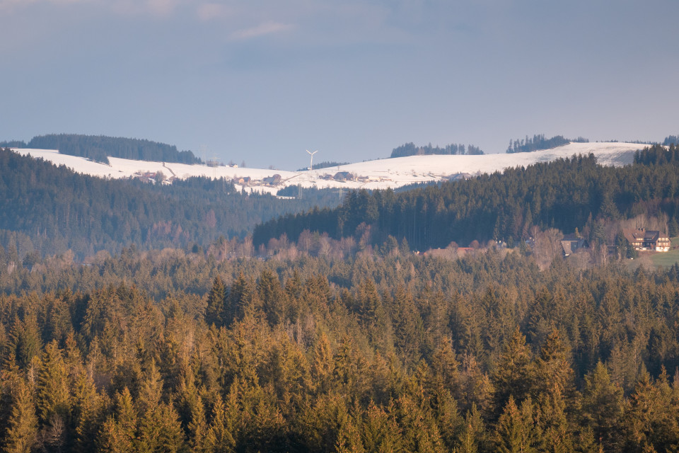 Blick auf Breitnau-Hinterdorf