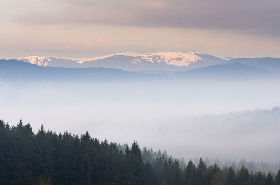 Feldbergblick