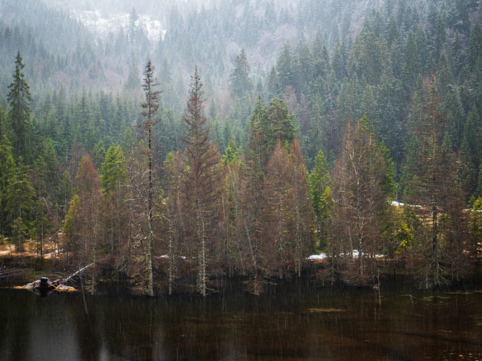 Frühlingsschnee im Seebachtal